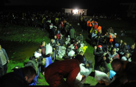 Dobrovoljci u Šapcu