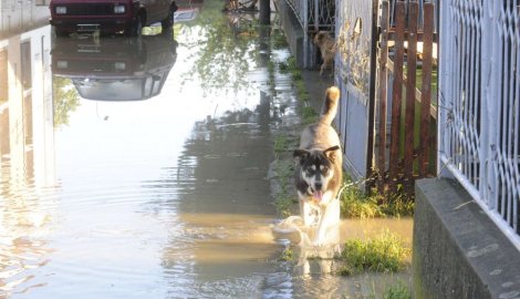 Voda iz Obrenovca se povlači brže nego što se mislilo