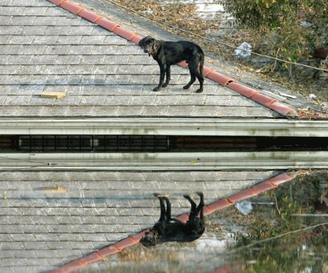 Za sve informacije pozovite SOS broj