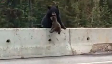 Operacija spasavanja