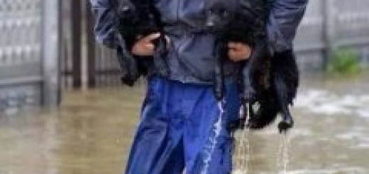 Milutin Gale Radonjić iz Obreža