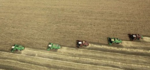 Uvode se računovodstveni standardi u poljoprivredi