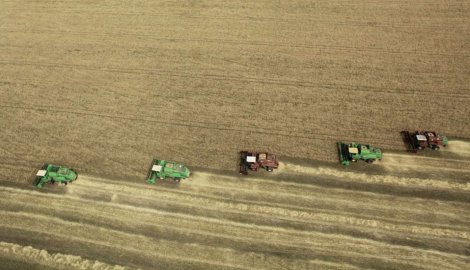Uvode se računovodstveni standardi u poljoprivredi