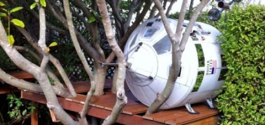 Kapsula je smeštena u krošnju drveta