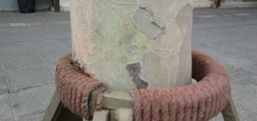 Metalne stege su napravile oštećenja na platanima