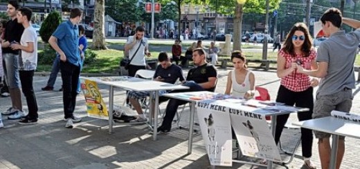 Priznanja za najbolje na Zvezdarijadi