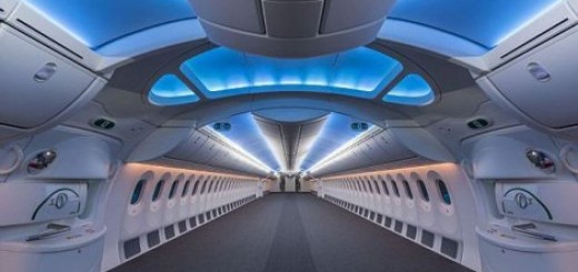 Privatni avion nije dovoljno luksuzan, bolja je leteća vila!