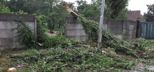 Foto: Tanjug, ilustracija