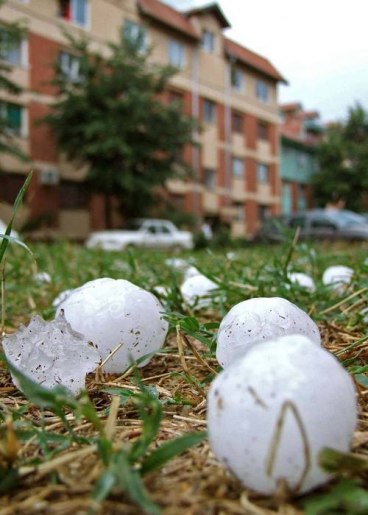 Foto: Tanjug, arhiva