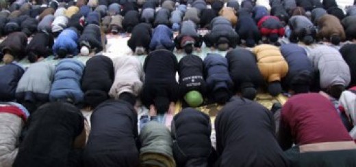 Ilustracija (Beta, arhiva)