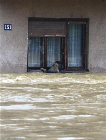 Foto: Tanjug, arhiva