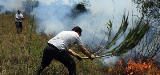 Foto: Tanjug, Arhiva