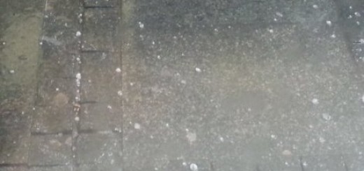 Vladičin Han: Grad za pet minuta obrao letinu