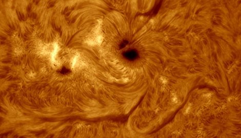 (+) FOTO: Profimedia.rs