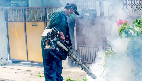 Potrebna šira akcija protiv komaraca: Zaprašivanje sa zemlje