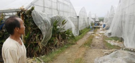 UZBUNA U JAPANU Okinava u mraku, letovi otkazani, evakuacija pola miliona ljudi Video