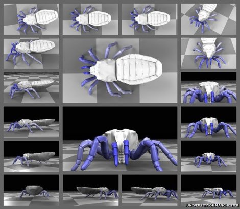 Paleontolozi oživeli 410 miliona godina starog pauka