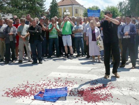 Malinari: Vučić nije reagovao, protest u sredu u Arilju