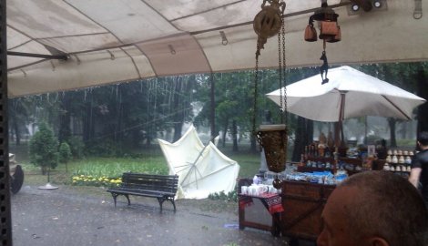 Izvlačio sam devojke ispod granja: Oluja na Kalemegdanu lomila drveće FotoVideo