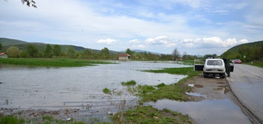 Foto: Tanjug, arhiva