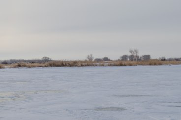 Ilustracija (Philip Pena/Freeimages.com)